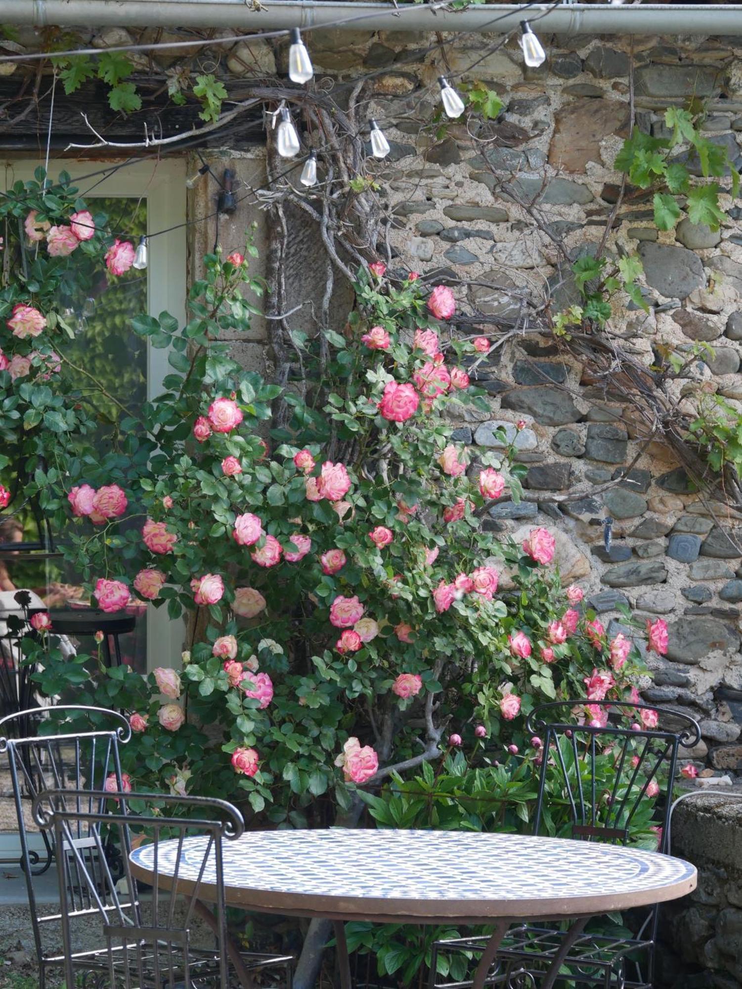 Les Jardins De Lumiere Bed & Breakfast Brusque ภายนอก รูปภาพ